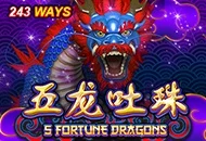 5 Fortune Dragons